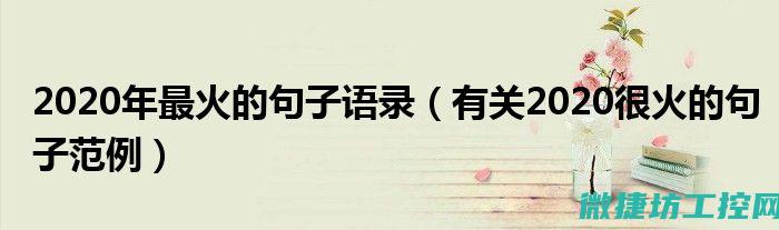当下最火的