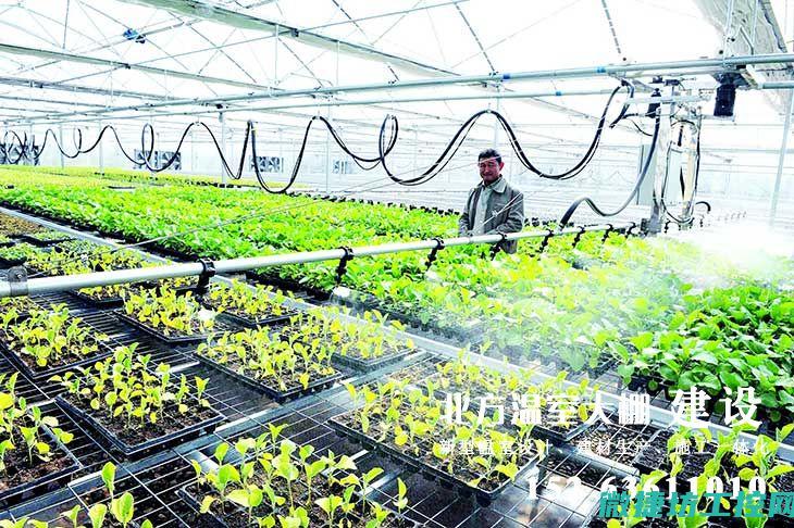农业温室中的大气污染