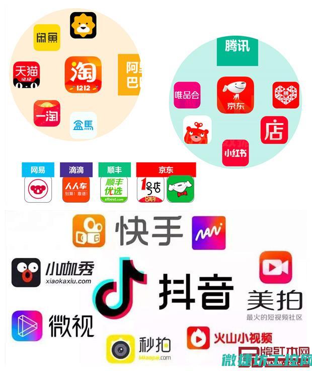 多元化应用满足不同需求