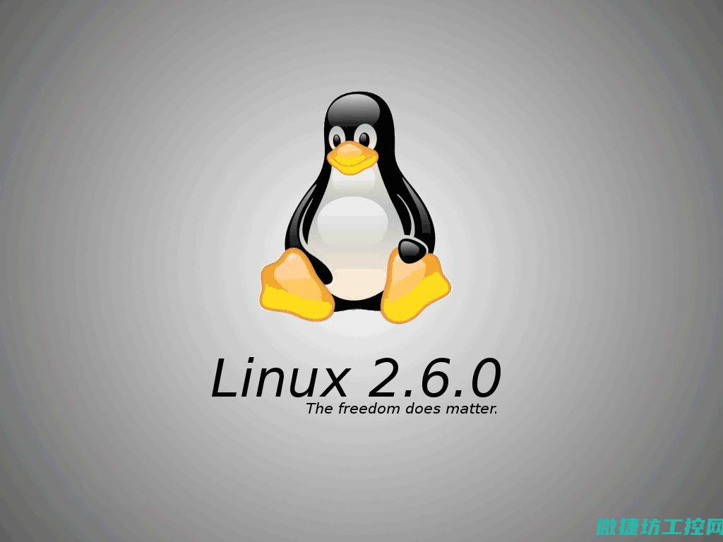 Linux系统：工控软件的发展与运用 (linux系统)