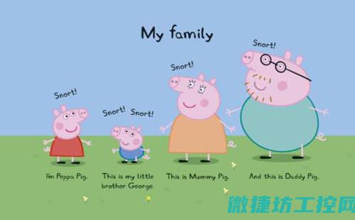选择适合的设备与组件，提升整体效率 (选择适合的设计方案)