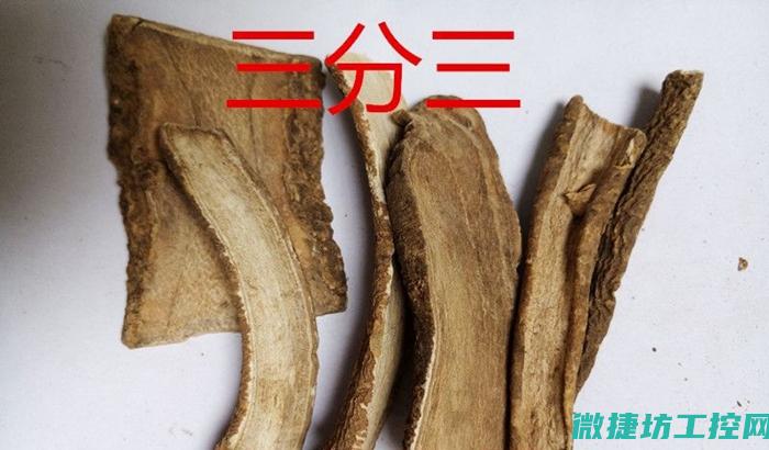 三. 多样化的应用场景，满足不同工业需求 (多样化的好处)