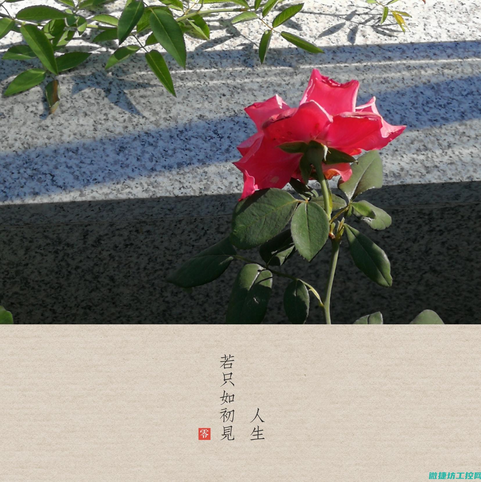 从初步了解至深度掌握 (初步的了解)