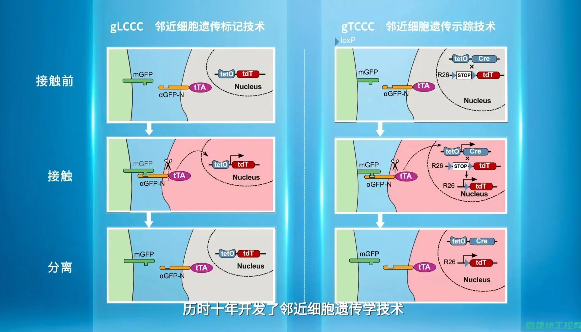 迁移过程中的关键点解析 (迁移过程中的dc)
