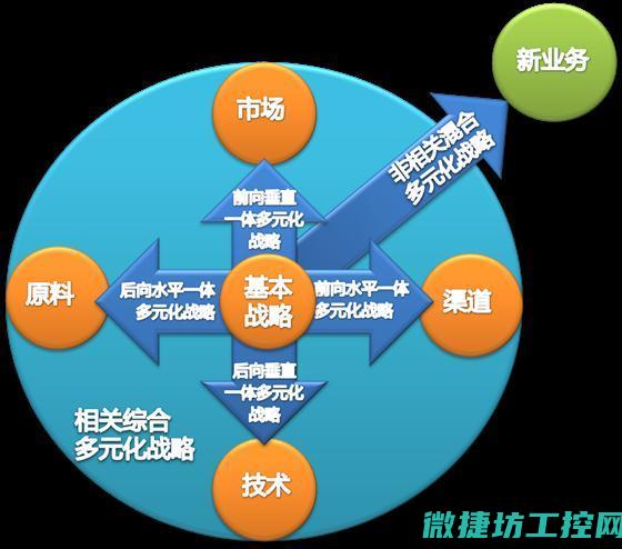 多元化的控制策略与技术应用 (多元化控制措施包括什么)