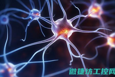 神经系统在工控系统中扮演的角色
