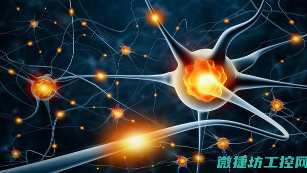 神经系统在工业中的作用