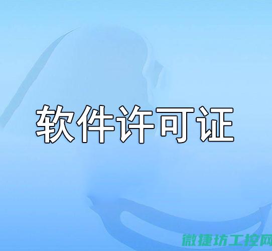 软件授权问题探讨 (软件授权问题有哪些)