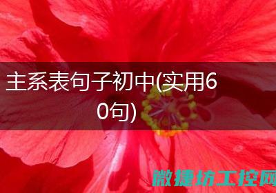 主系表示什么