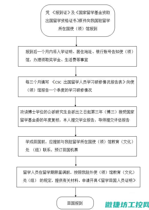实际操作流程与使用指南