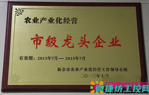 区域龙头企业竞争排名一览无遗 (区域龙头企业新亚环境科技集团)