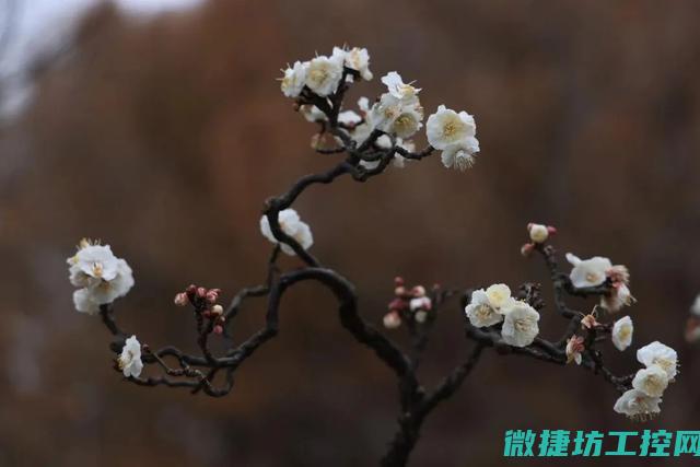 打造高品质梅州机系统机箱的重要考虑因素