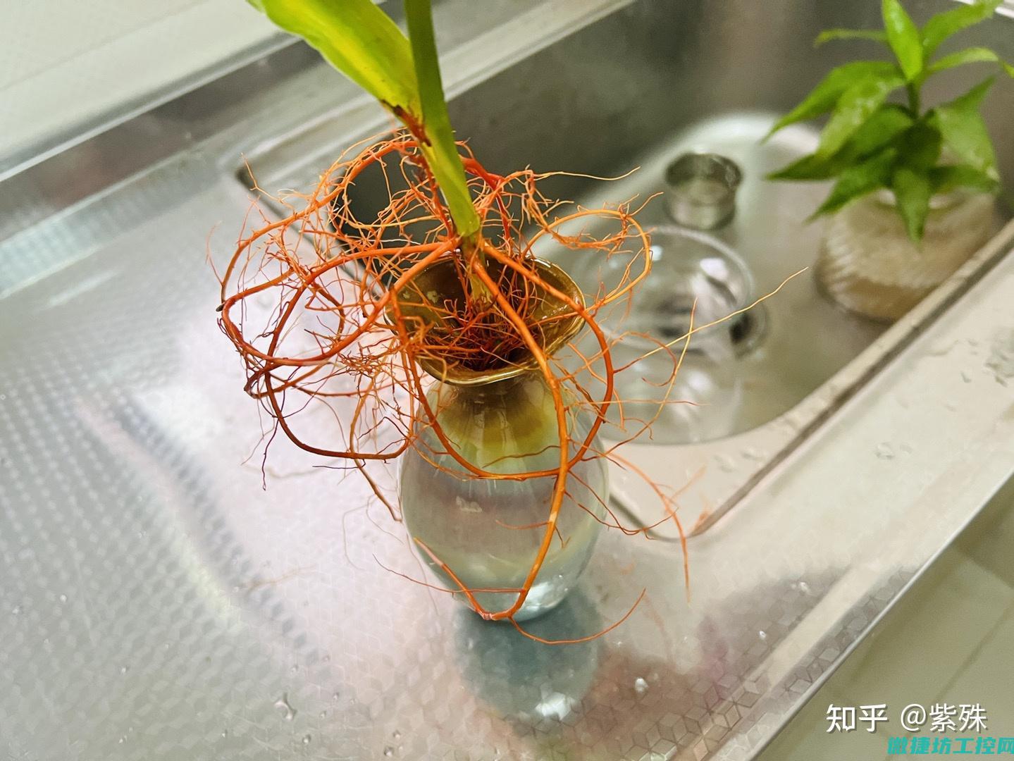 探寻高效率生产与管理模式的前沿