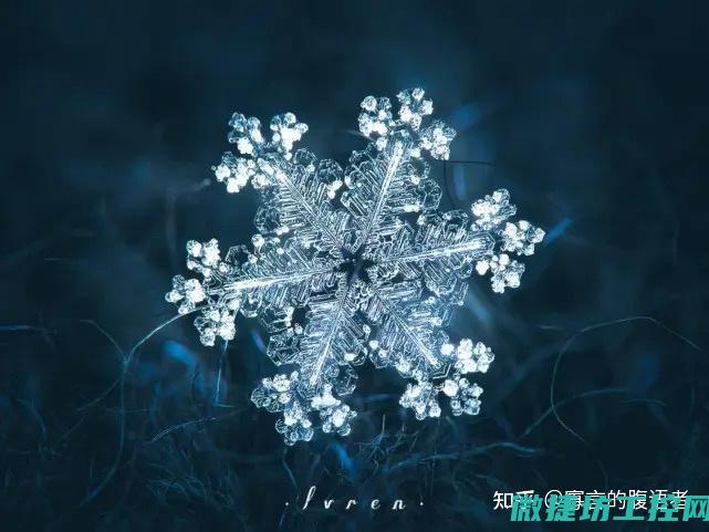 究竟有何不同?