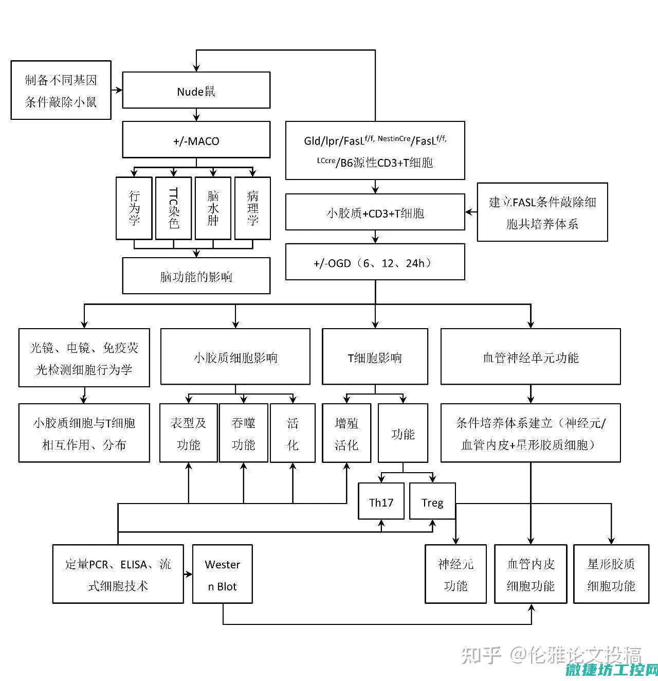 技术选型考量 (技术选型是什么)