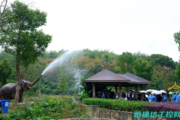多样化应用场景与优势解析 (多样化应用场景)