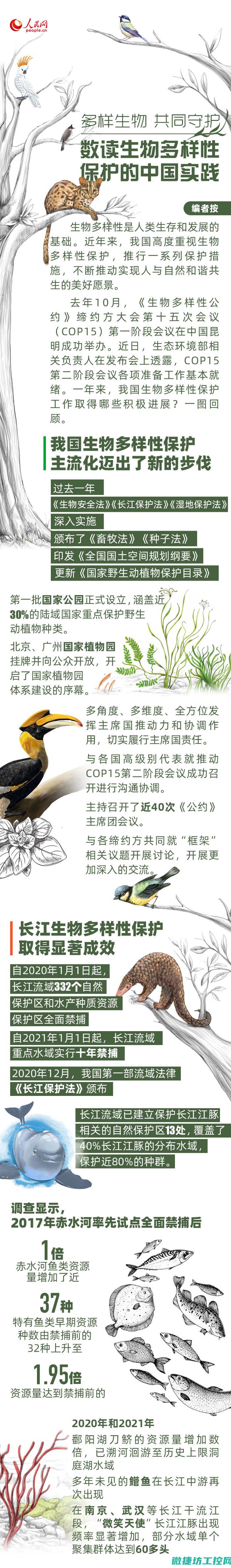 多样化应用与什么有关