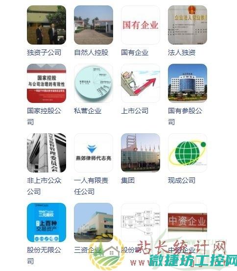 哪些企业拥有较多的无形资产?