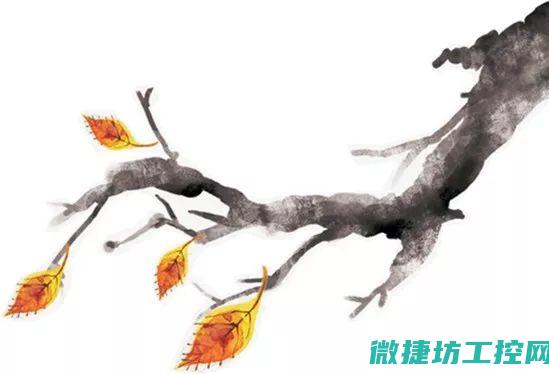 特点与大揭秘