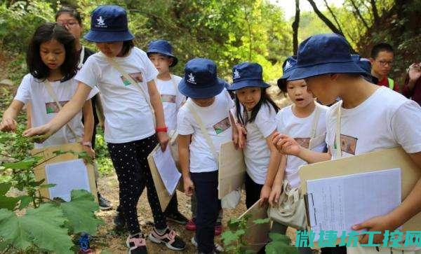 实践指南是指