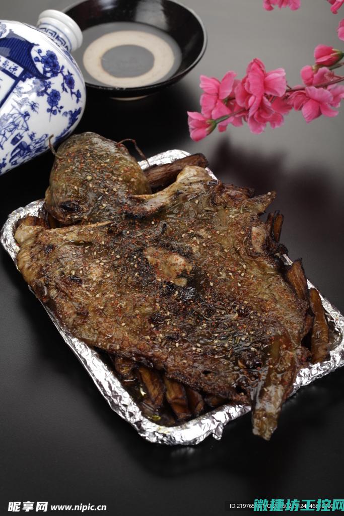菜谱烤鲶鱼 (烤鲶鱼的功效)
