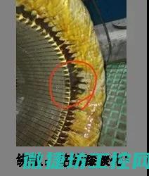 变频器烧毁故障原因 (变频器烧坏图片)