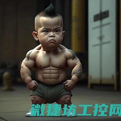 博腾Err23