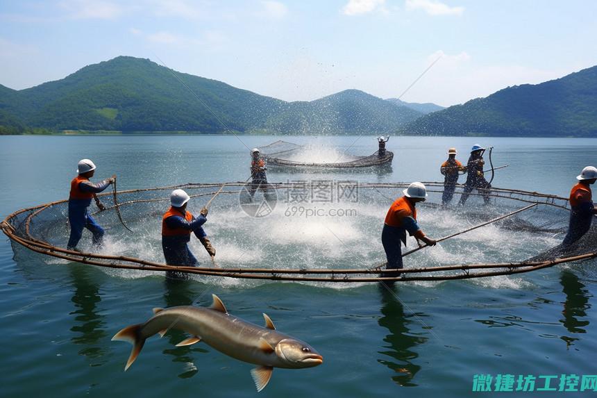 渔民午餐菜谱 (渔民作息)
