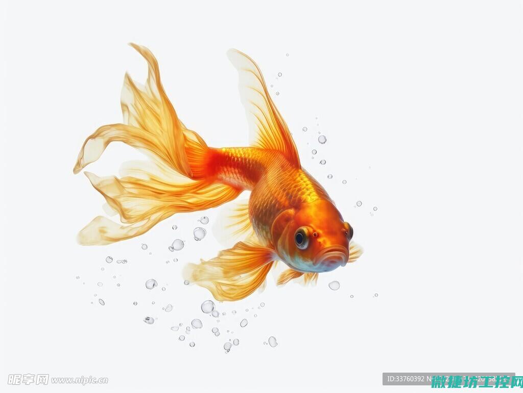 金鱼菜谱做法 (金鱼菜谱做法大全图片)
