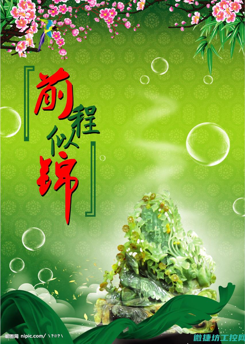 前途似锦菜谱 (前途似锦 释义)