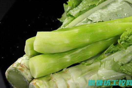 莴笋条菜谱 (莴笋条图片大全大图)