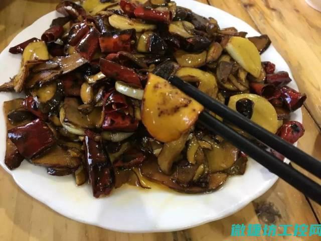 菌季菜谱 (菌类菜谱)