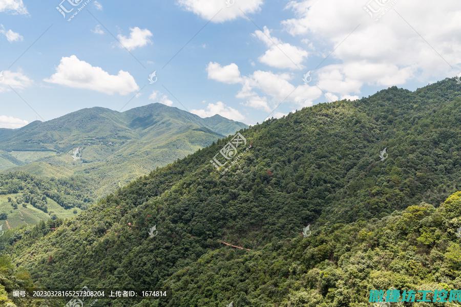 山捻子 菜谱 (山捻子煲汤的做法)