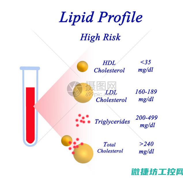 溶脂菜谱 (溶脂的蔬菜)