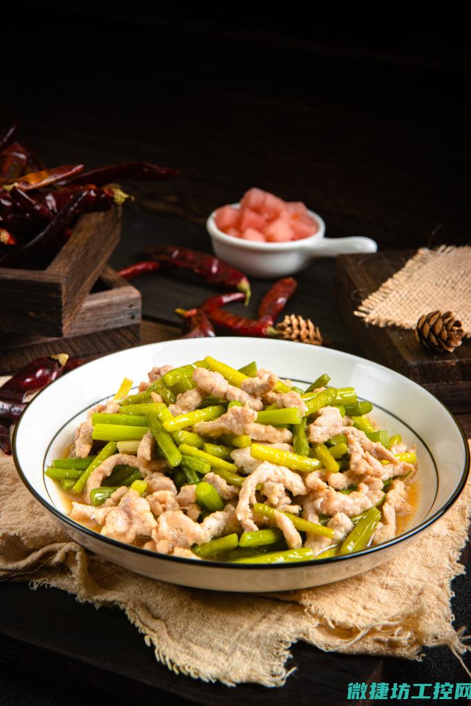 肉丝类菜谱 (肉丝的菜谱)