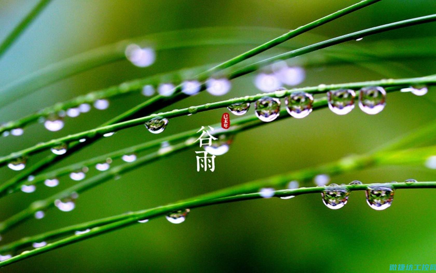 谷雨后菜谱 (谷雨菜谱十二个菜)
