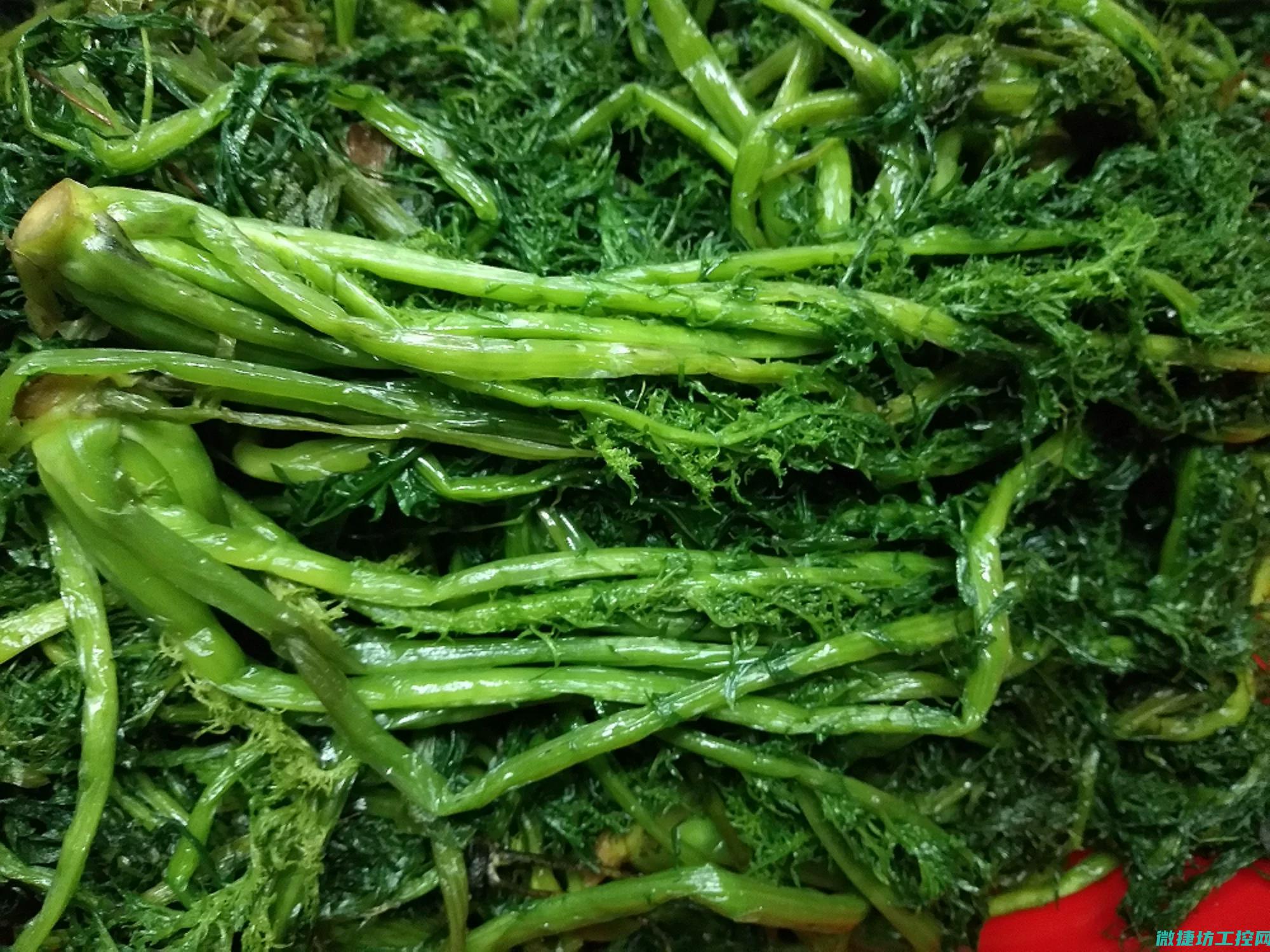 雪乡里菜谱 (雪乡有什么美食)