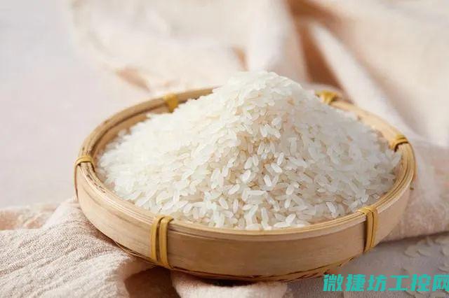 米其林自制菜谱 (米其林自制菜有哪些)