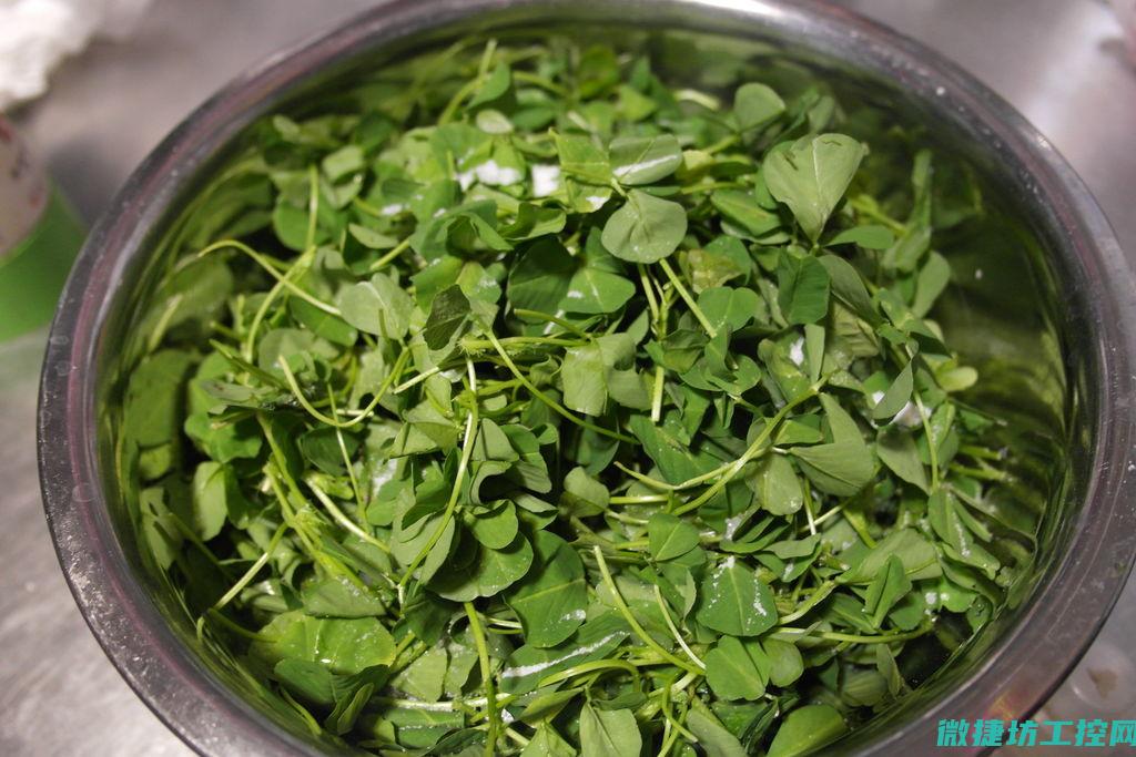 草头 菜谱 (草头菜怎么做)