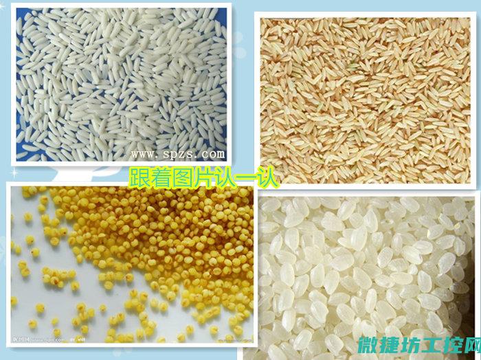 米其林自制菜谱 (米其林做菜)