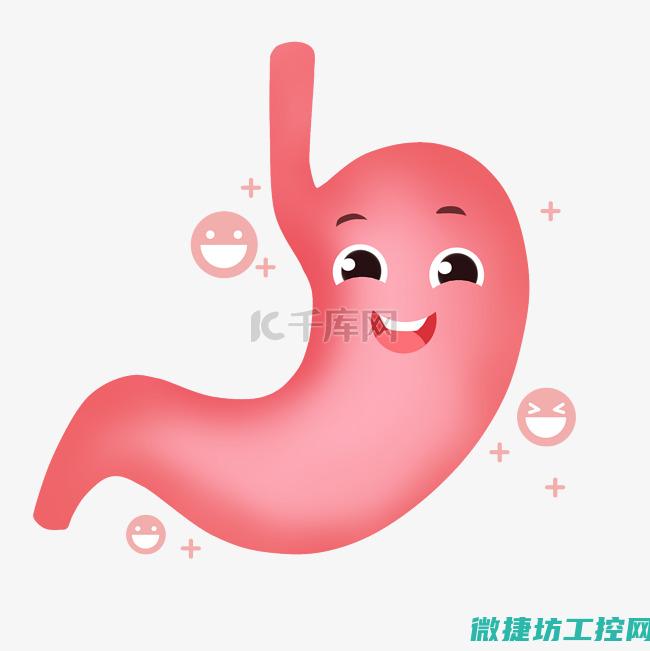 肠胃脾虚菜谱 (脾胃虚弱的食疗菜谱)