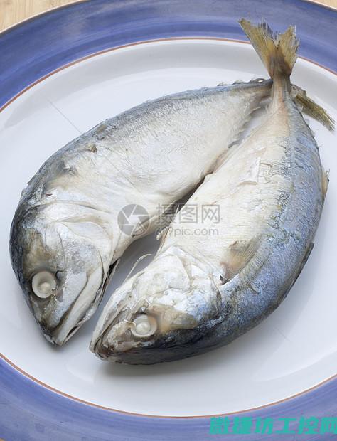 馿尾巴菜谱 (尾巴怎么做的)