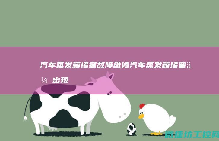 汽车蒸发箱堵塞故障维修 (汽车蒸发箱堵塞会出现什么情况)