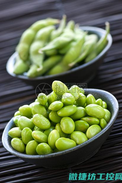 豆签 菜谱 (豆类的做法大全家常菜)
