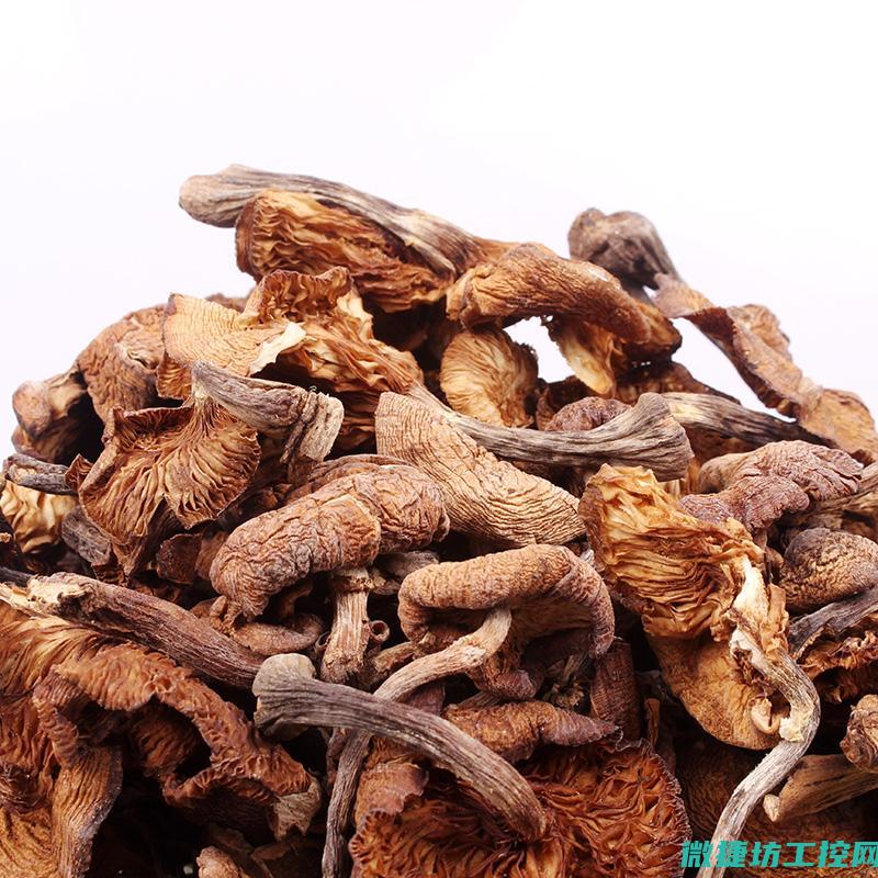 榛菇菜谱 (榛蘑的做法大全家常菜)