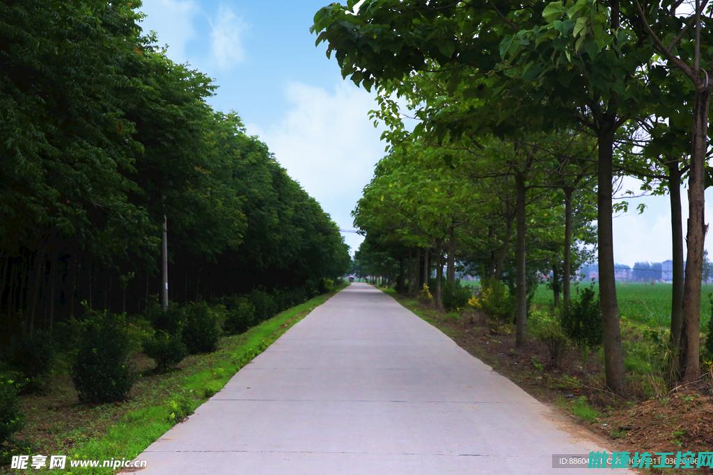 路边汽车故障联系谁投诉 (路上车子故障找谁)