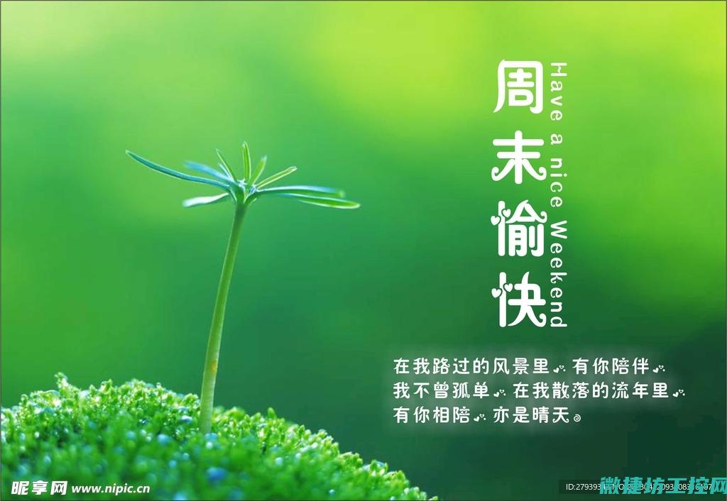 周末特供菜谱 (周末菜品)