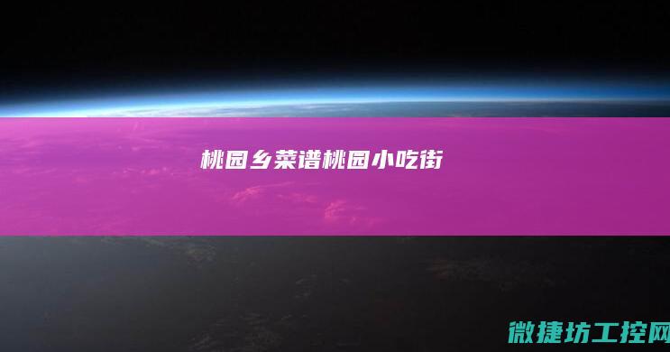 桃园乡菜谱 (桃园小吃街)