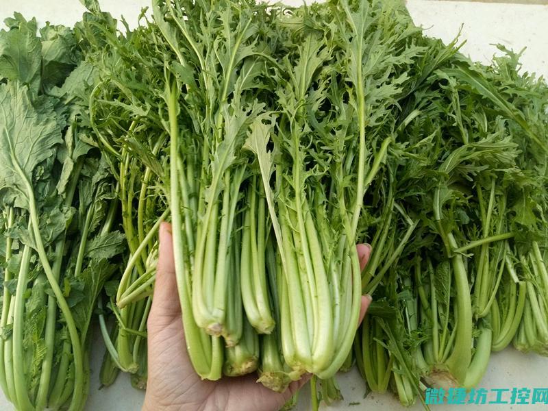 雪乡里菜谱 (雪乡里面哪家东西好吃)