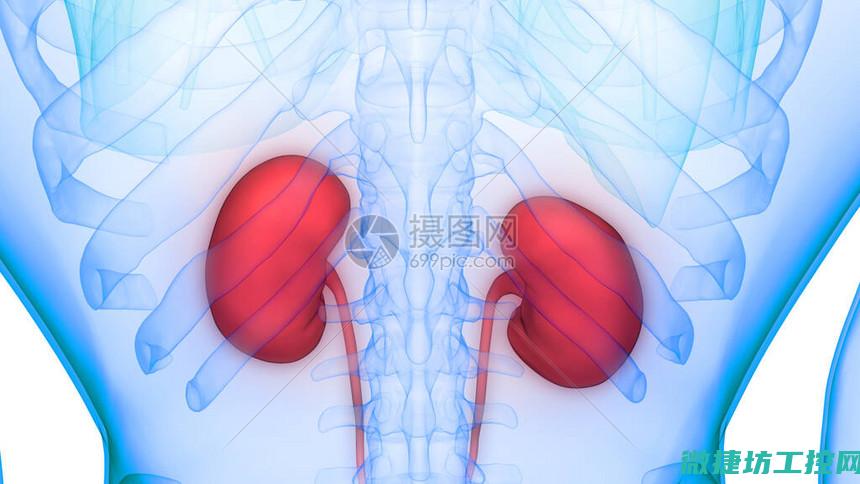肾菜谱斗士 (肾病 菜谱)